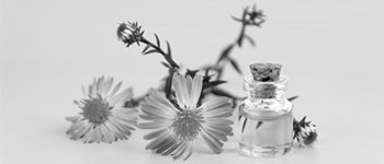 aromotherapy massage